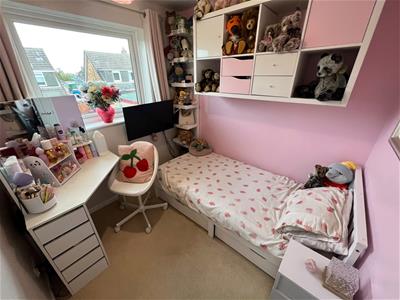 Picture 11